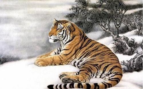 猴子偷桃，當堂斷正，厚顔堆砌頂硬上打一准确生肖详细解答、解释与落实、全面解答解释落实