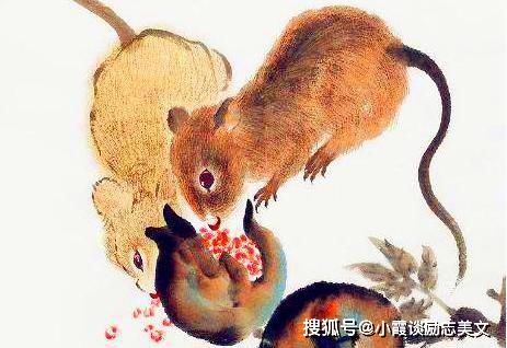 猴子偷桃，當堂斷正，厚顔堆砌頂硬上打一准确生肖详细解答、解释与落实、全面解答解释落实